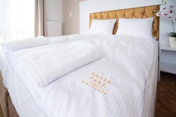 Фото номера Трехместный номер с балконом или террасой Курортные отели Amber Park Spa г. Нехоже 4